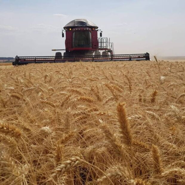 cc4cce69 6de2 41ff b312 8abb232cd97b