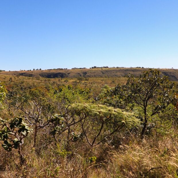 preservação ambiental