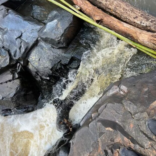 fbbacdec 4ecd 42d2 becd 69f98e61f87d (1)