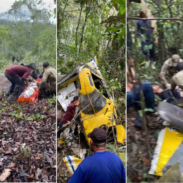 whatsapp image 2025 01 09 at 2.45.12 pm