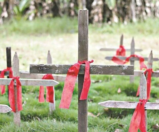 46954433064 cc98b5f616 b 1