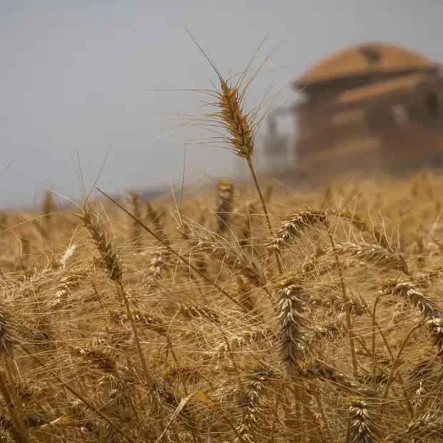 cna banco de imagens 0806220289