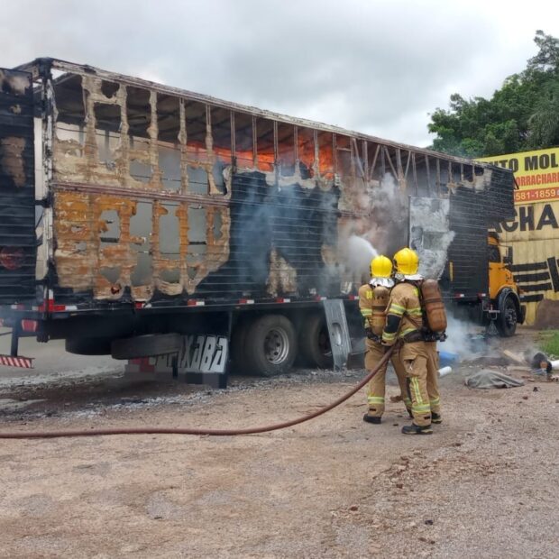 whatsapp image 2025 01 13 at 13.51.59