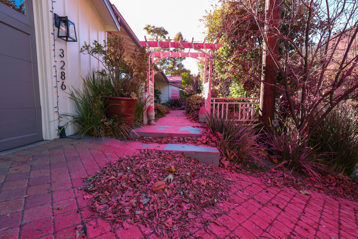 pó rosa