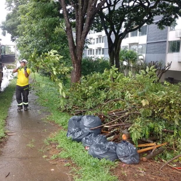 mutirao lixo entulho