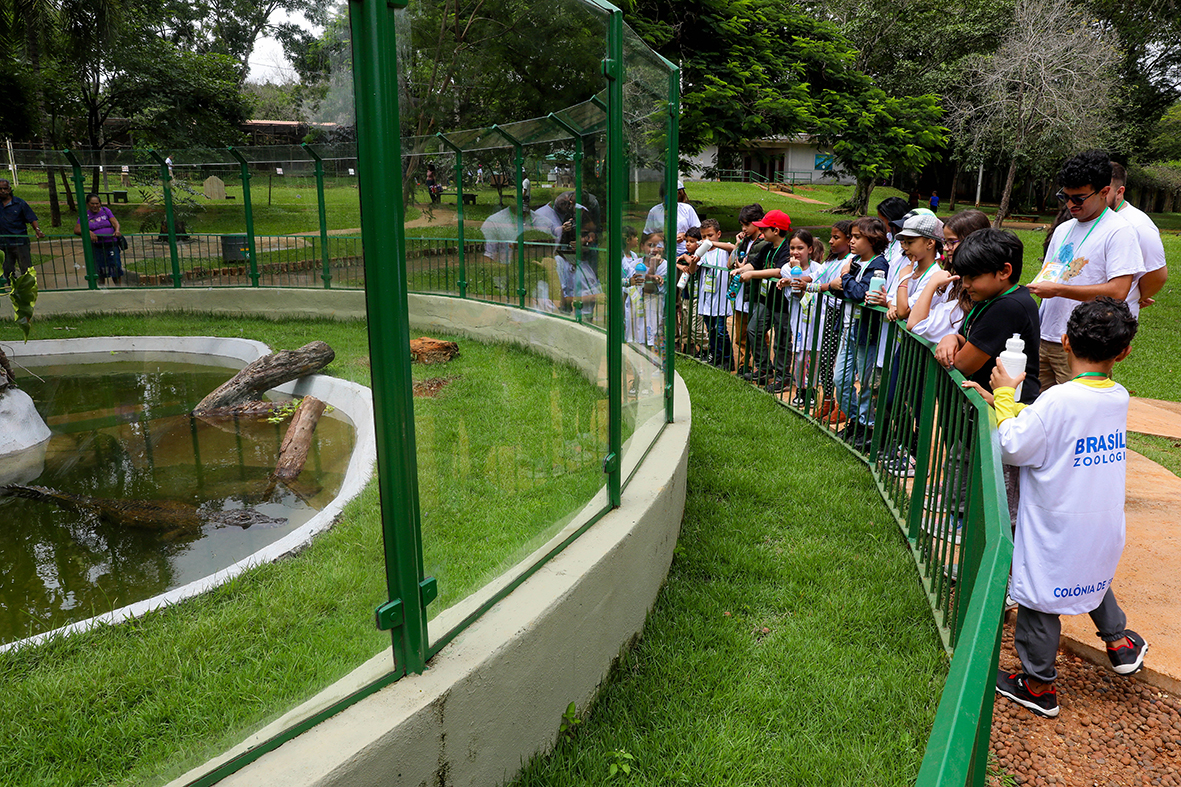 zoologico