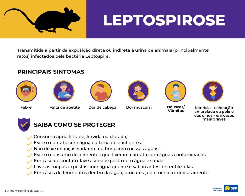 leptospirose