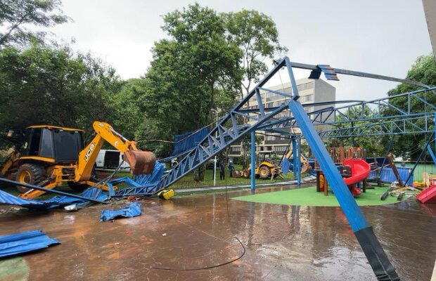 derrubada ursinho feliz galeria 8