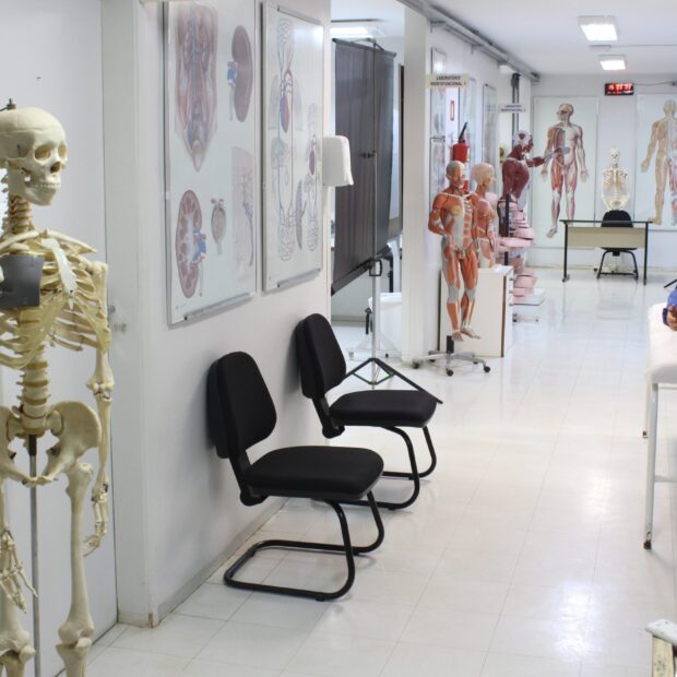 escola superior de ciências da saúde