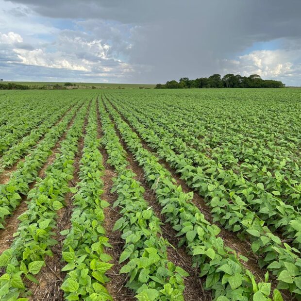 0b4a7438 a528 46a9 9c29 ab44b047ff80