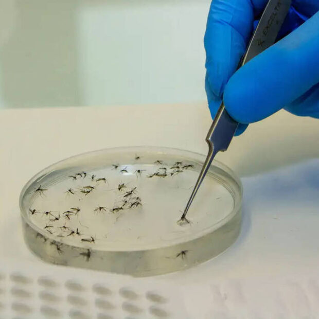 c02dc1eb 76ac 4b64 9834 3158a18770ad