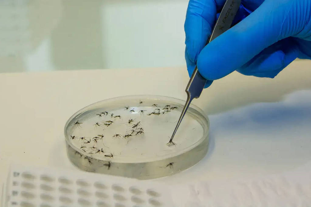 c02dc1eb 76ac 4b64 9834 3158a18770ad