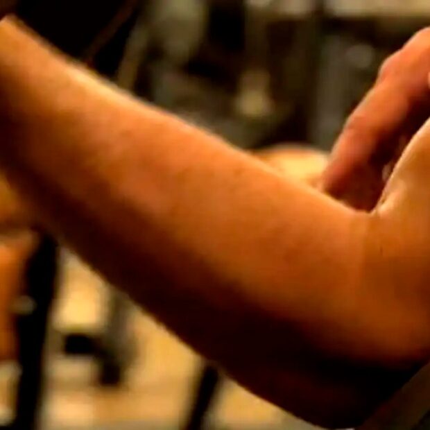 academia musculação anabolizanter