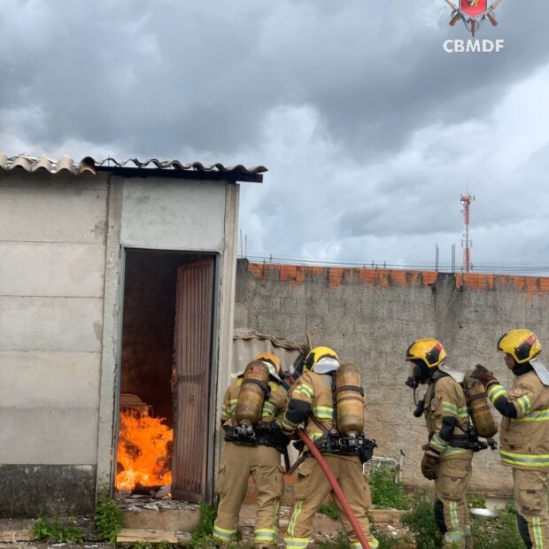 whatsapp image 2025 01 19 at 18.09.22