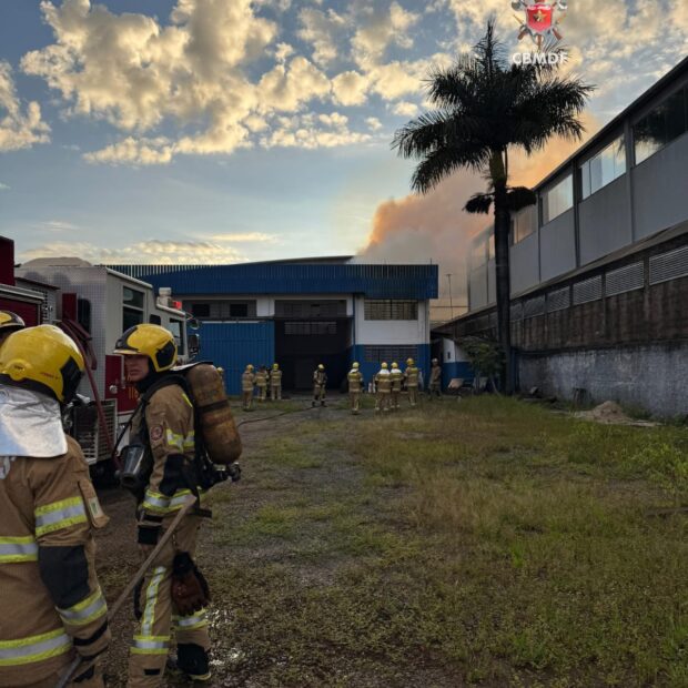 whatsapp image 2025 01 20 at 07.17.10