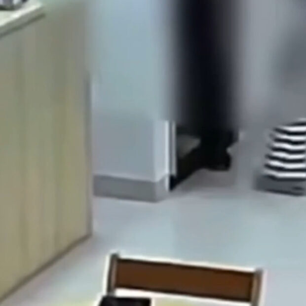 captura de tela 2025 01 20 092359