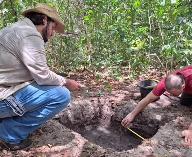 d7f00198 6c7b 45e3 acfd 7b1ad9aeb654