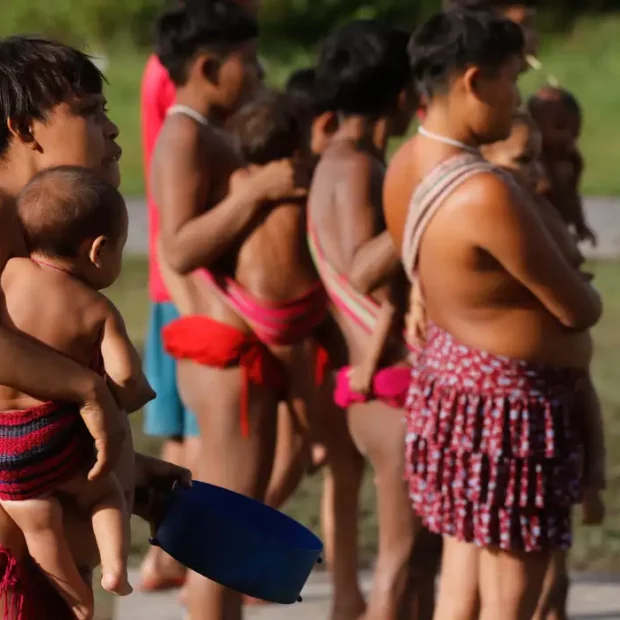 yanomami frazao 7