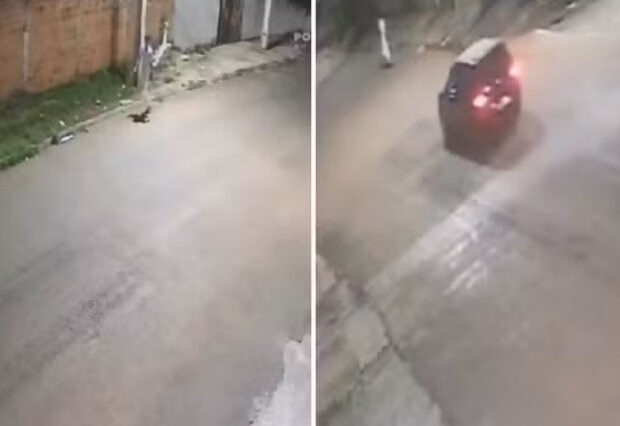 captura de tela 2025 01 21 083530