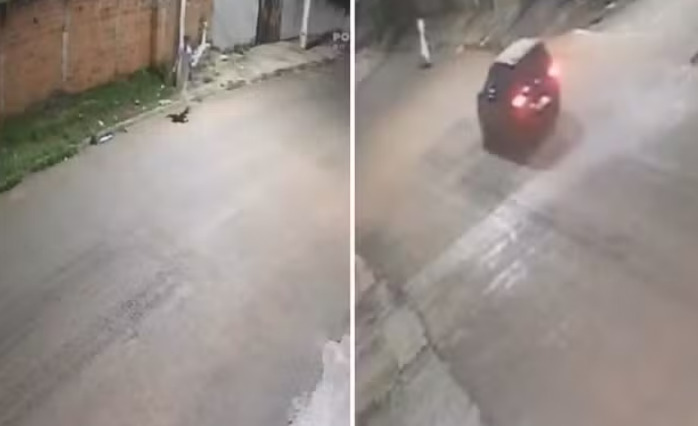 captura de tela 2025 01 21 083530