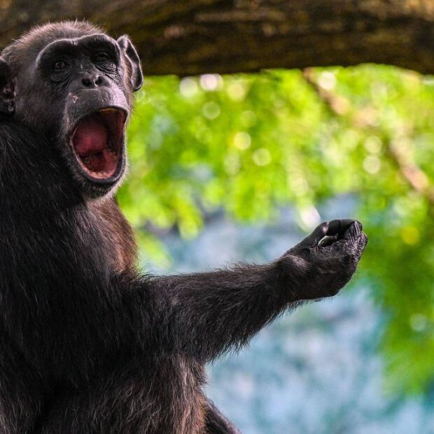 172260725766ace69920b6a 1722607257 3x2 lg