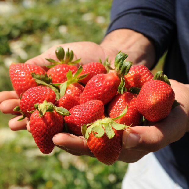 20.12. moraangos. foto lucio bernardo jr. agencia brasilia