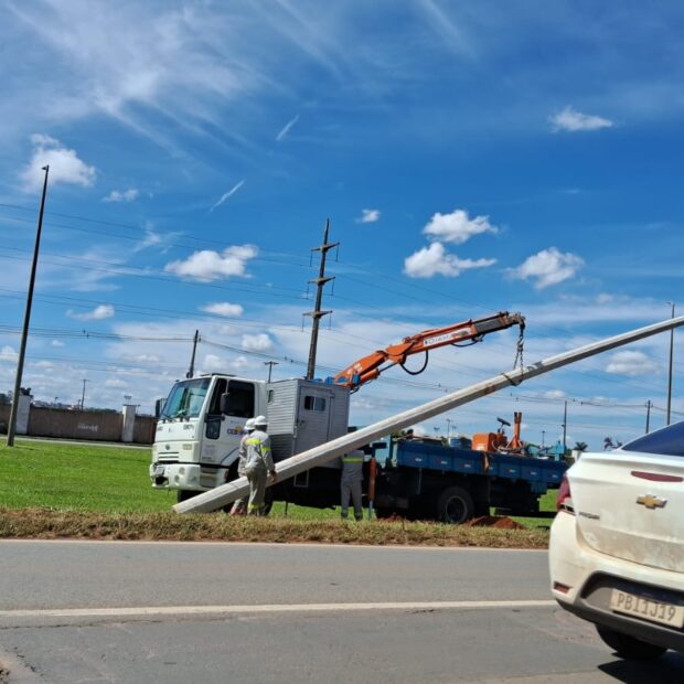 21.1. materia cebipes