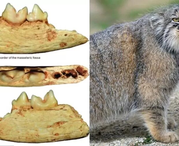 94c45432 1664 486b ad8c 38398c00b38a