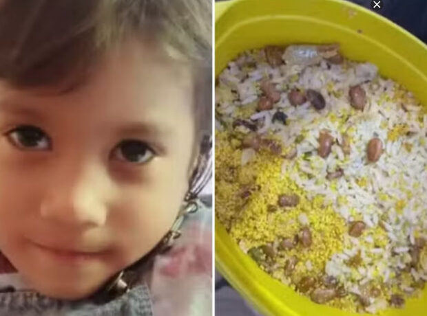 captura de tela 2025 01 22 113512