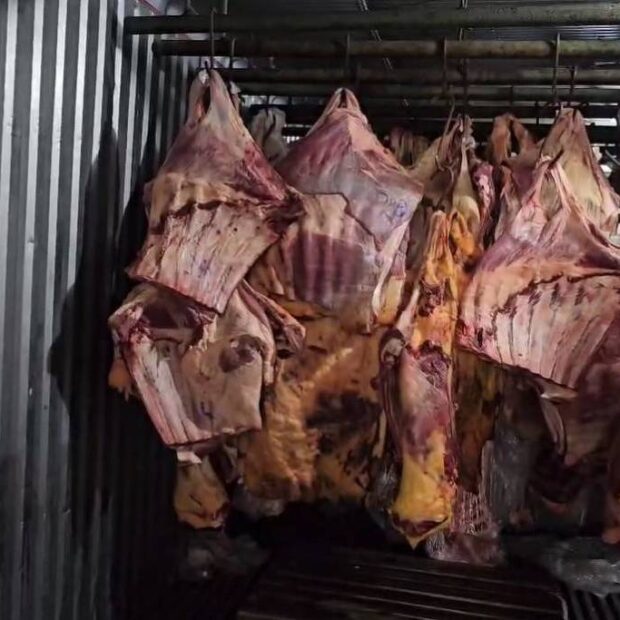 b5c840ad 1085 4c98 aea6 a3d4e81ba3e3