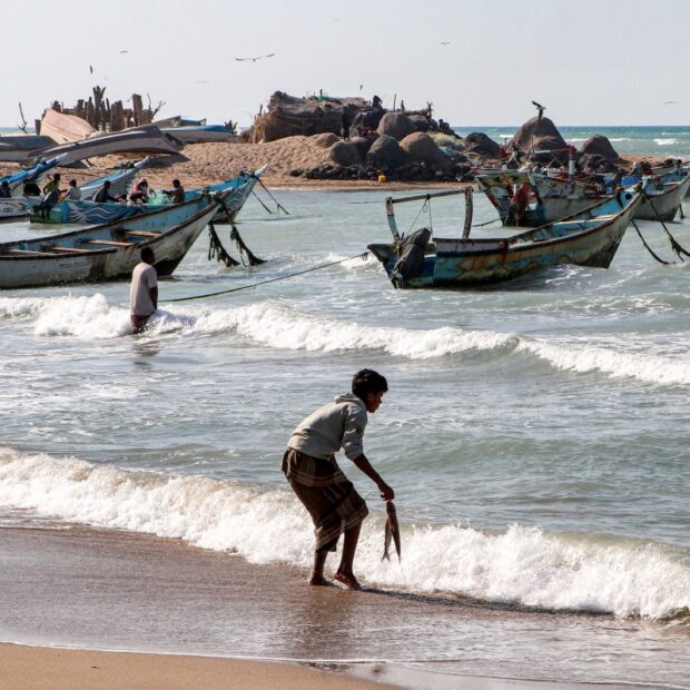 yemen conflict fishing