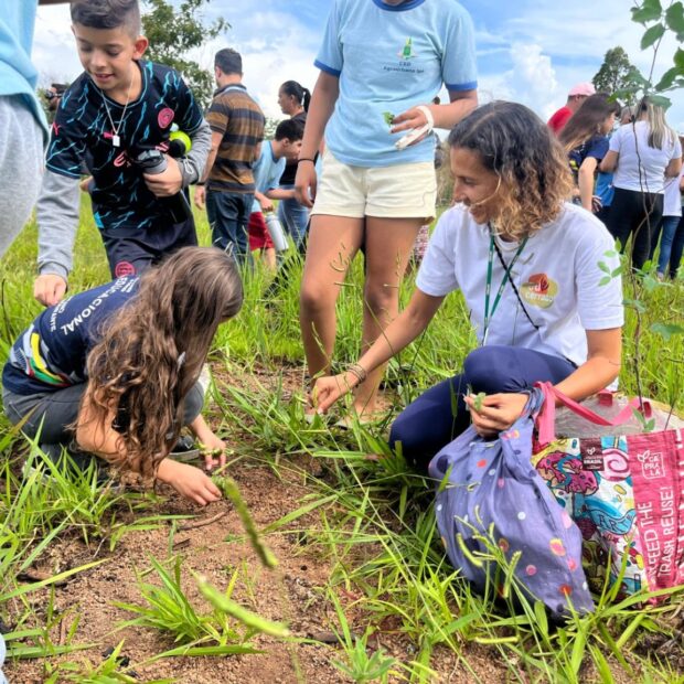 plantio em uc 1536x1152