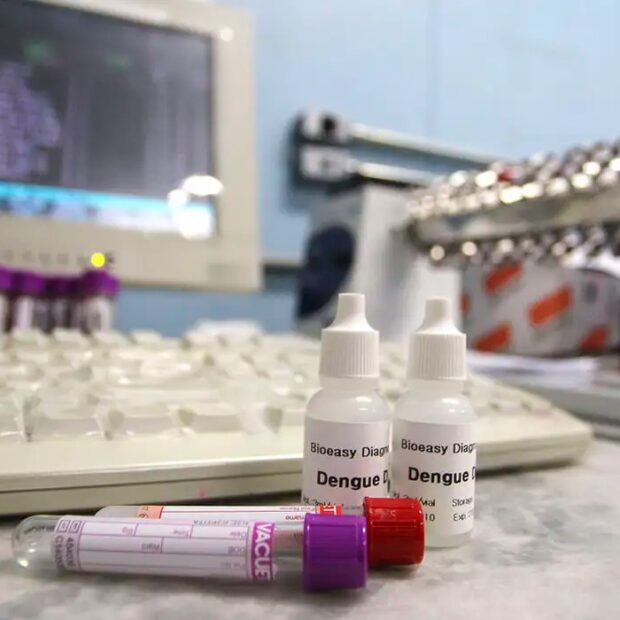 teste rapido dengue