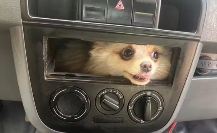 captura de tela 2025 01 23 073853