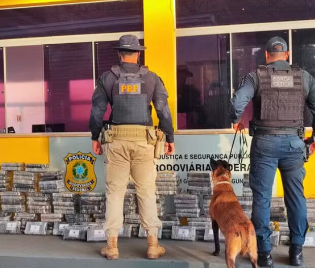 captura de tela 2025 01 23 095519