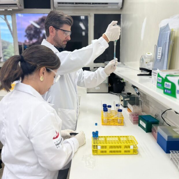 whatsapp image 2025 01 23 at 10.49.38