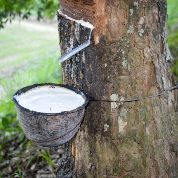 whatsapp image 2025 01 23 at 19.35.47 1536x1020