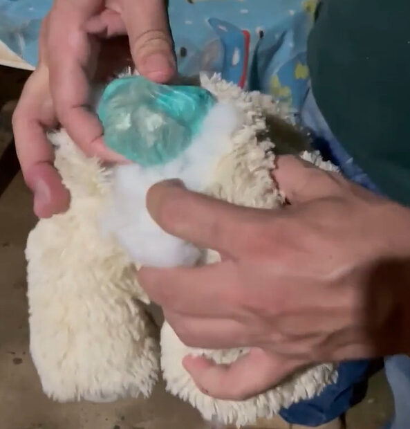 captura de tela 2025 01 24 065028