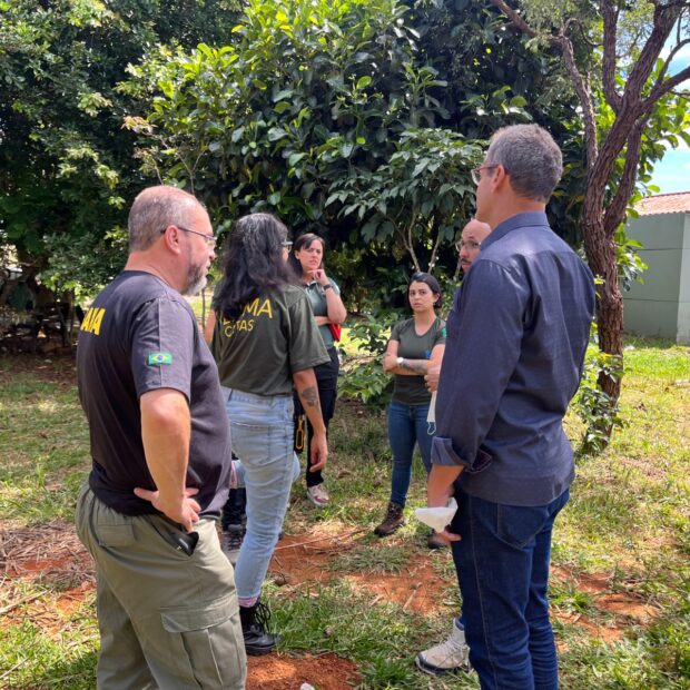 24.1. parceria brasilia ambiental. 2