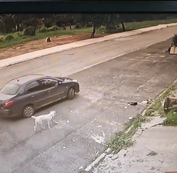 photo 2025 01 24 11 39 50