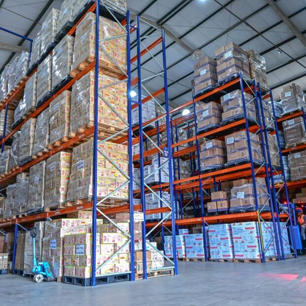 operador empilhadeira