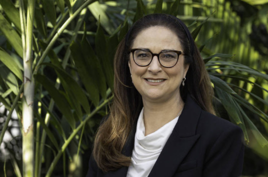 captura de tela 2025 01 28 064456