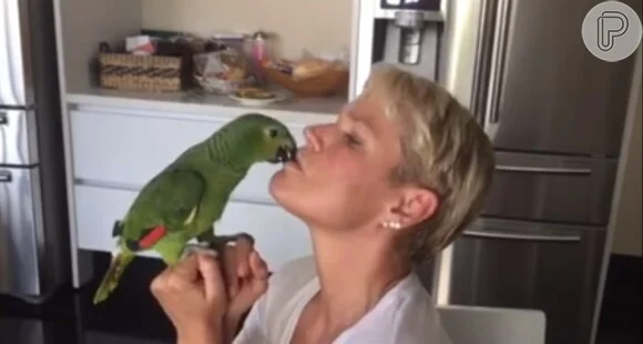 633325 recentemente xuxa apresentou seus 580x0 1