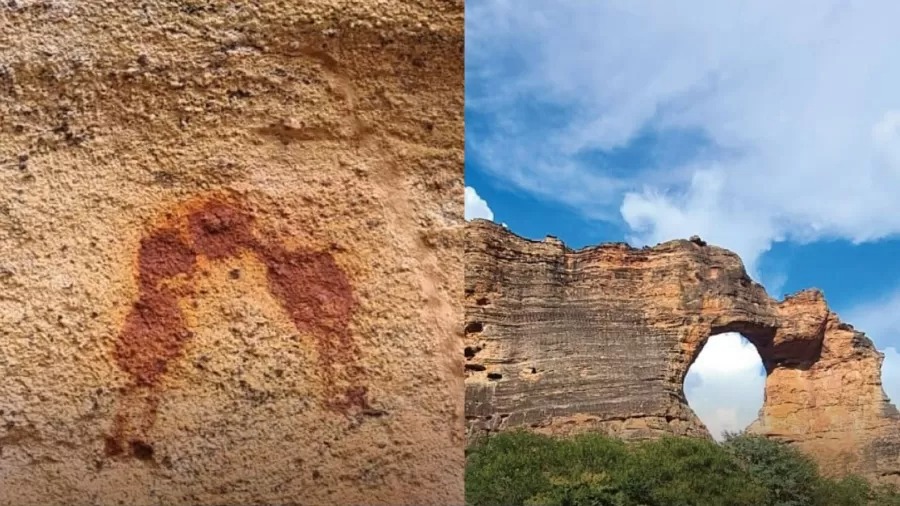 a84526cf 21a8 4a97 877c f2ee8a9f360b