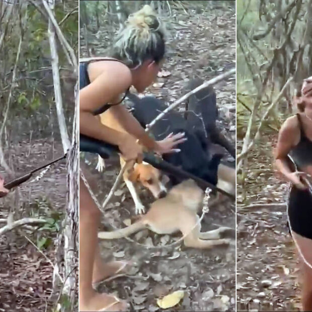 05eff02b af1a 456e bef1 0f56a9597494