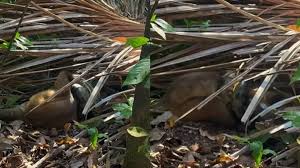 83e339fa d892 42fb 9179 c99270a9983d