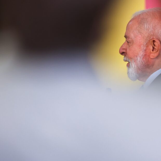 lula 8