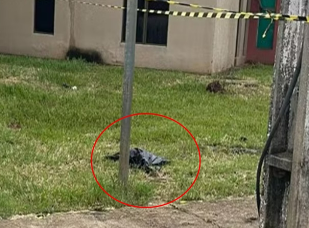 captura de tela 2025 02 03 071919