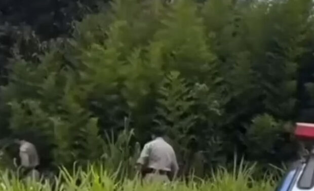 captura de tela 2025 02 04 100033