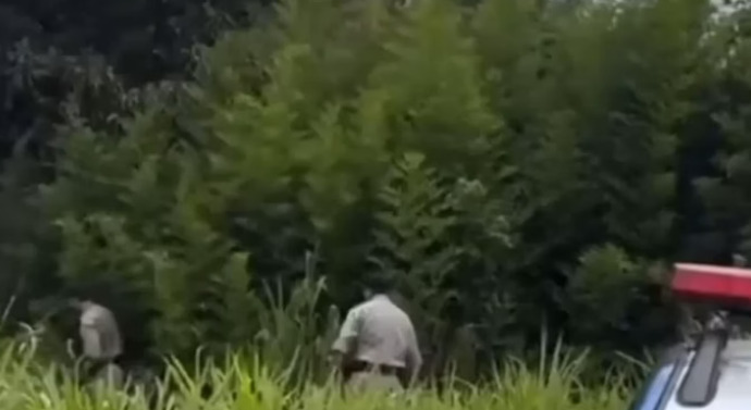 captura de tela 2025 02 04 100033